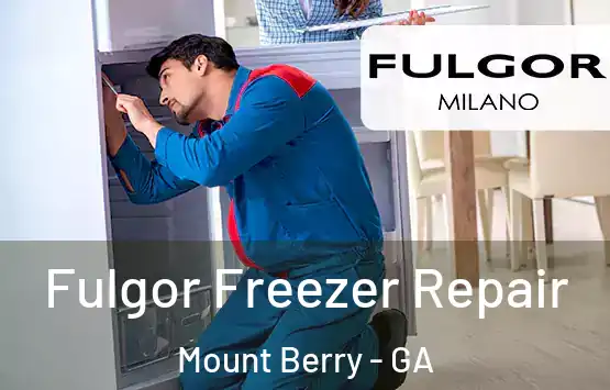  Fulgor Freezer Repair Mount Berry - GA