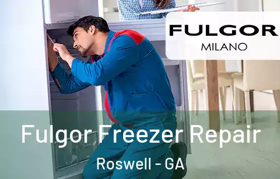  Fulgor Freezer Repair Roswell - GA