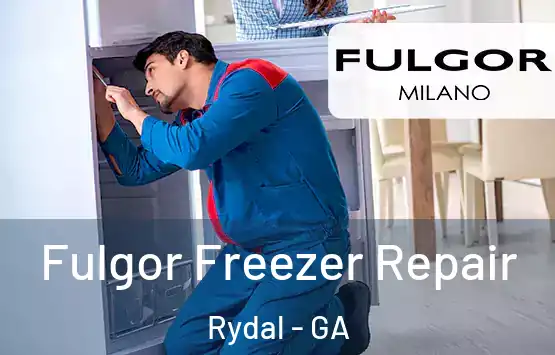  Fulgor Freezer Repair Rydal - GA