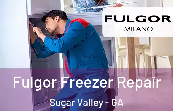  Fulgor Freezer Repair Sugar Valley - GA