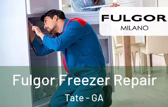  Fulgor Freezer Repair Tate - GA