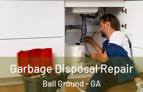  Garbage Disposal Repair Ball Ground - GA