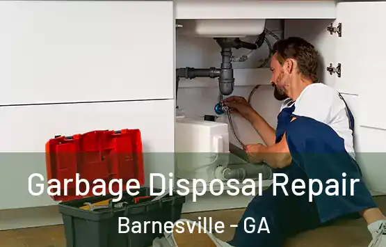  Garbage Disposal Repair Barnesville - GA