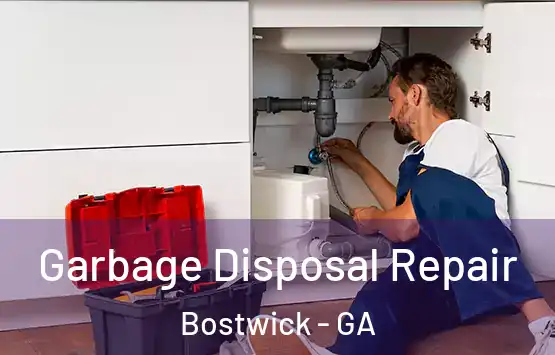  Garbage Disposal Repair Bostwick - GA