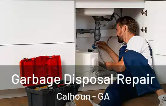  Garbage Disposal Repair Calhoun - GA
