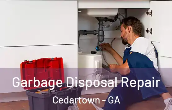 Garbage Disposal Repair Cedartown - GA