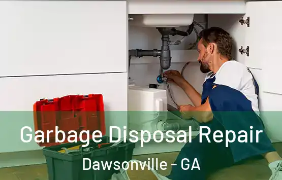  Garbage Disposal Repair Dawsonville - GA