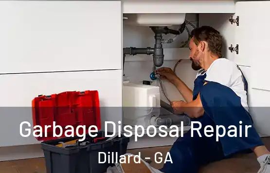  Garbage Disposal Repair Dillard - GA