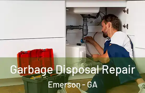  Garbage Disposal Repair Emerson - GA