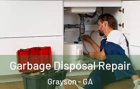  Garbage Disposal Repair Grayson - GA