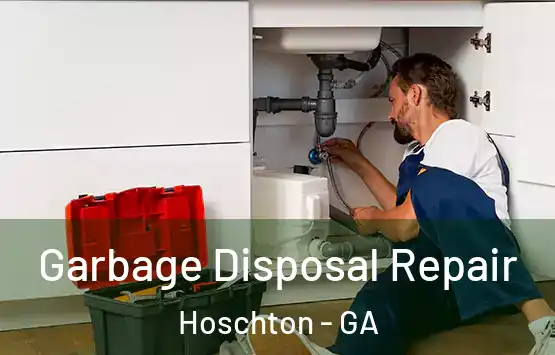  Garbage Disposal Repair Hoschton - GA