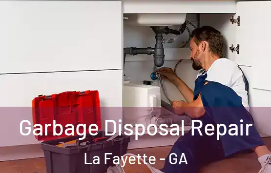  Garbage Disposal Repair La Fayette - GA