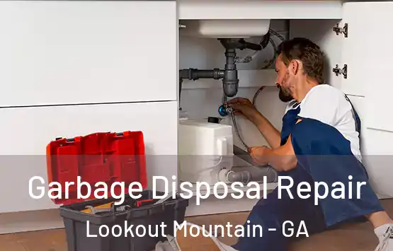  Garbage Disposal Repair Lookout Mountain - GA