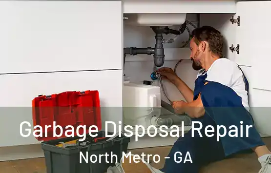  Garbage Disposal Repair North Metro - GA