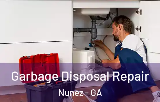  Garbage Disposal Repair Nunez - GA