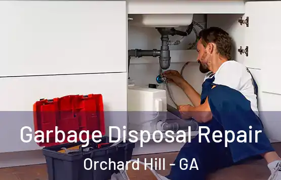  Garbage Disposal Repair Orchard Hill - GA