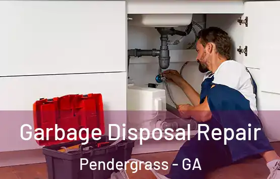  Garbage Disposal Repair Pendergrass - GA