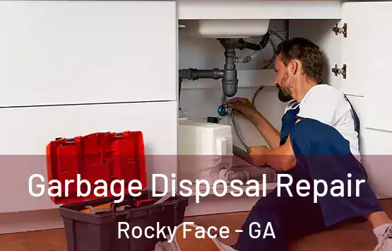  Garbage Disposal Repair Rocky Face - GA