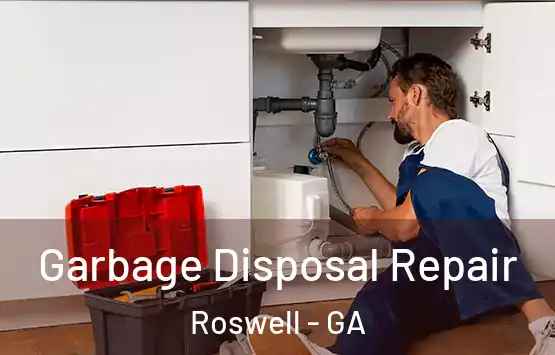  Garbage Disposal Repair Roswell - GA