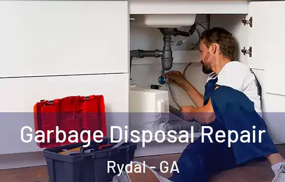  Garbage Disposal Repair Rydal - GA