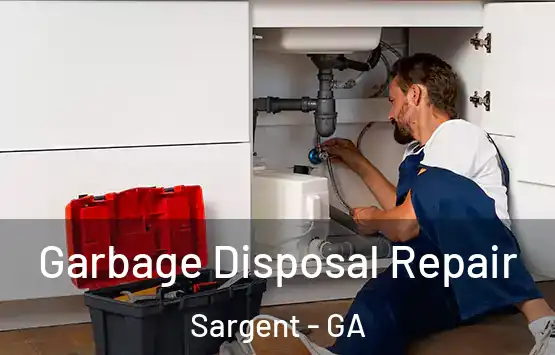  Garbage Disposal Repair Sargent - GA