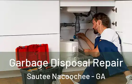  Garbage Disposal Repair Sautee Nacoochee - GA