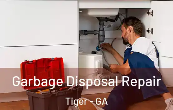  Garbage Disposal Repair Tiger - GA