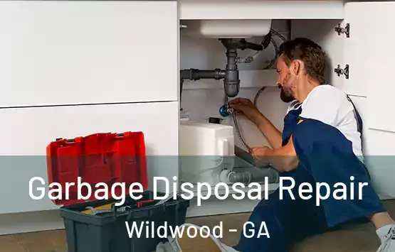  Garbage Disposal Repair Wildwood - GA