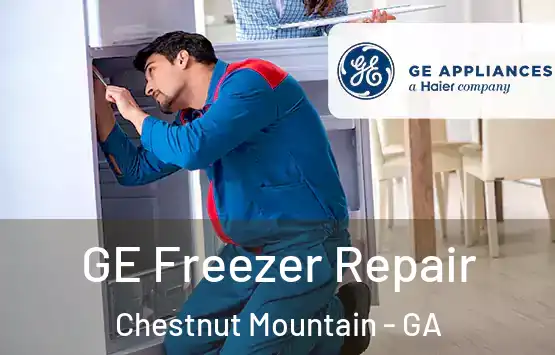  GE Freezer Repair Chestnut Mountain - GA