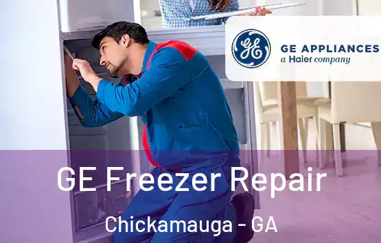  GE Freezer Repair Chickamauga - GA