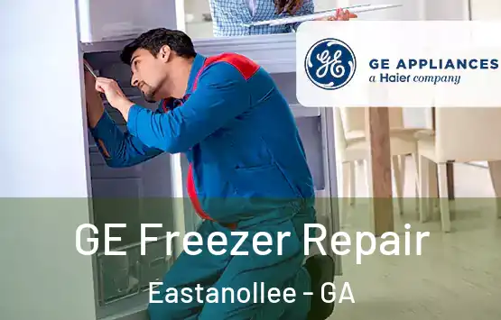  GE Freezer Repair Eastanollee - GA