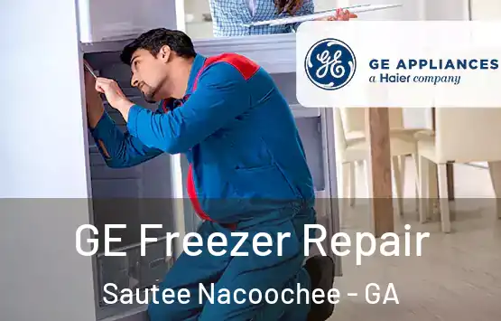  GE Freezer Repair Sautee Nacoochee - GA