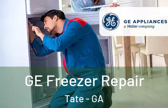  GE Freezer Repair Tate - GA