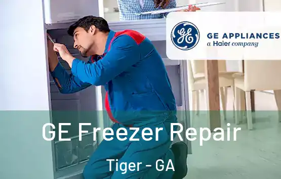  GE Freezer Repair Tiger - GA
