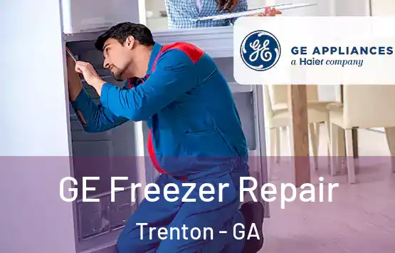  GE Freezer Repair Trenton - GA