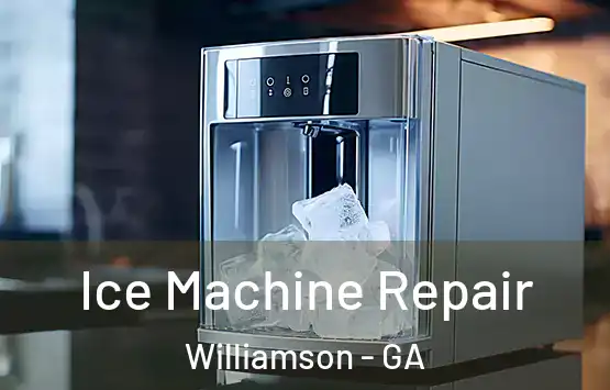  Ice Machine Repair Williamson - GA