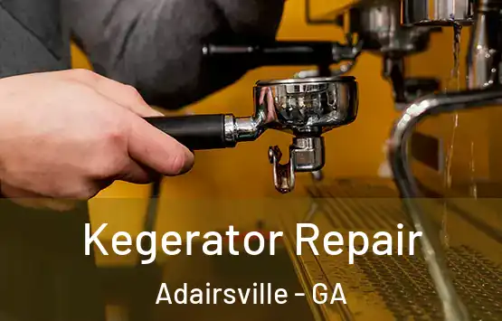  Kegerator Repair Adairsville - GA