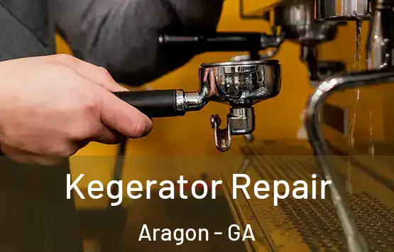  Kegerator Repair Aragon - GA
