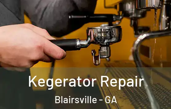  Kegerator Repair Blairsville - GA