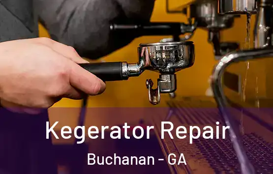  Kegerator Repair Buchanan - GA