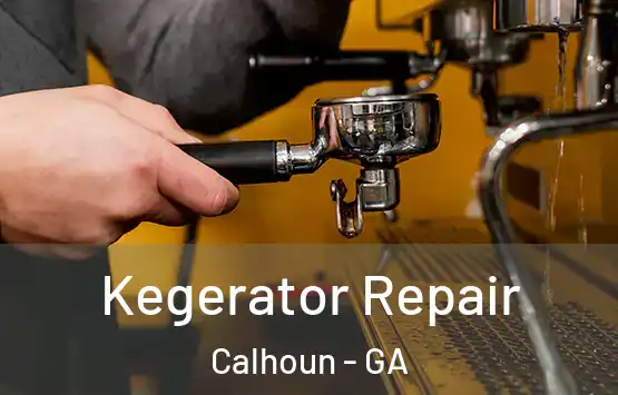  Kegerator Repair Calhoun - GA