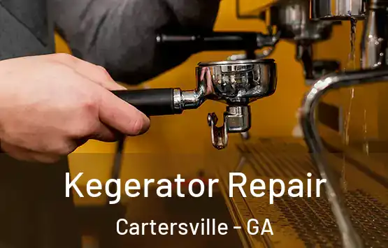  Kegerator Repair Cartersville - GA