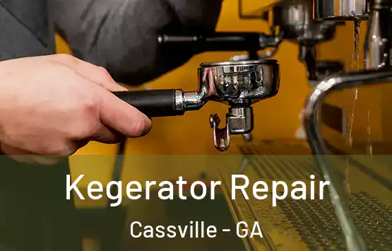  Kegerator Repair Cassville - GA