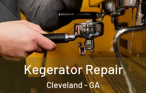  Kegerator Repair Cleveland - GA