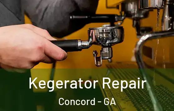  Kegerator Repair Concord - GA