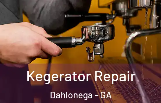  Kegerator Repair Dahlonega - GA