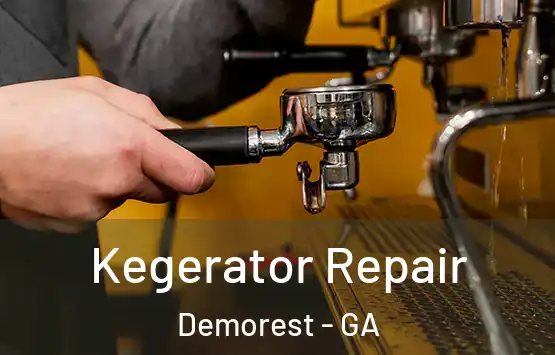  Kegerator Repair Demorest - GA