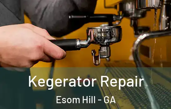 Kegerator Repair Esom Hill - GA