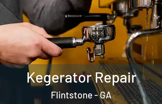  Kegerator Repair Flintstone - GA