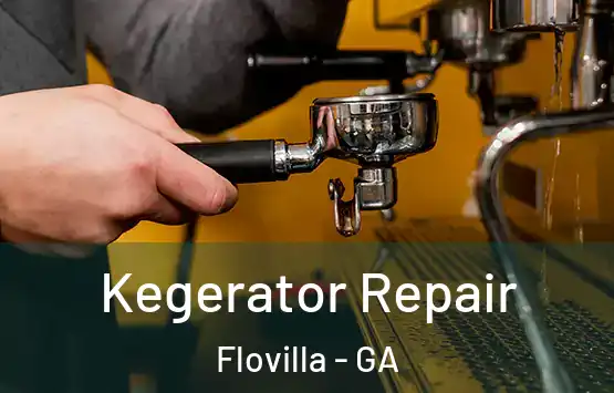  Kegerator Repair Flovilla - GA